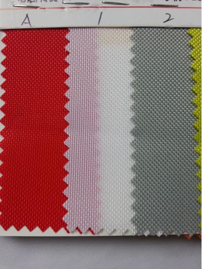 DG-BICG BC-8401 尼龍  背囊面料 後面照